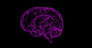 Effects on the brain