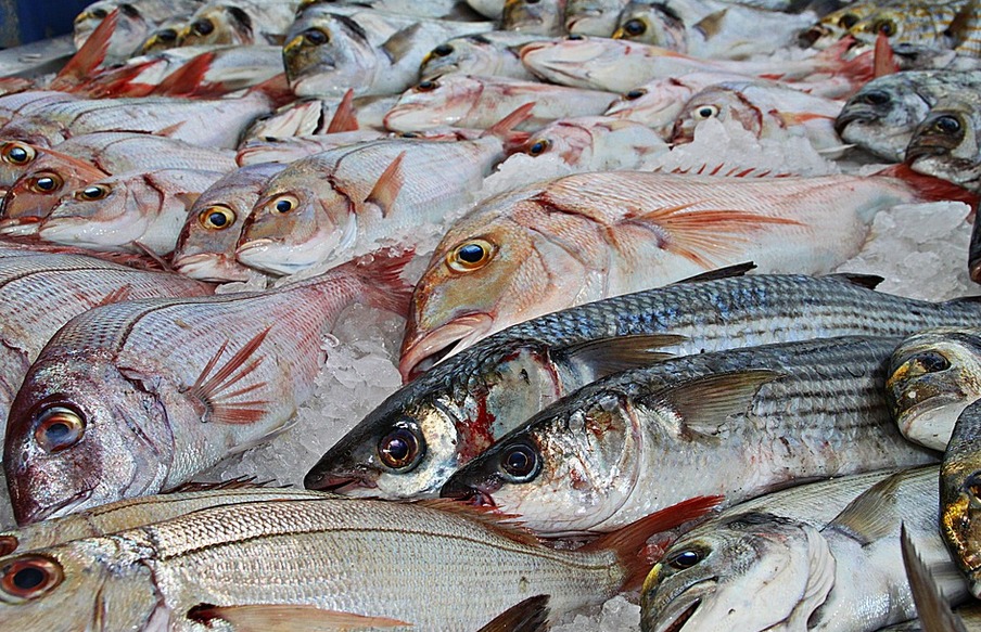raw fish